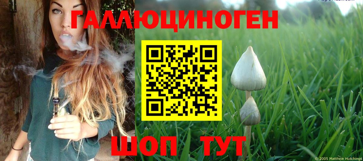 Галлюциногенные грибы Magic Shrooms Батайск