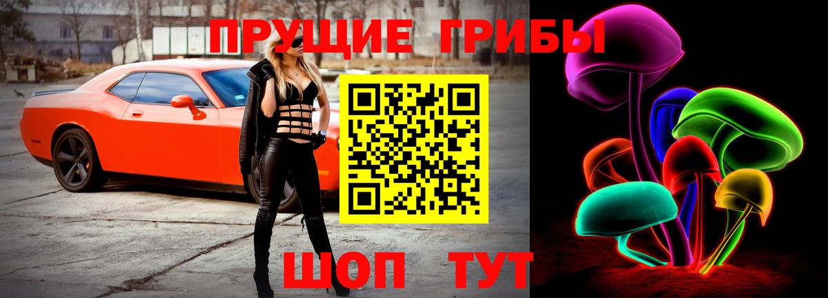 где купить наркоту  Вход с VPN  Батайск  Псилоцибиновые грибы MAGIC MUSHROOMS  Галлюциногенные грибы MAGIC MUSHROOMS 